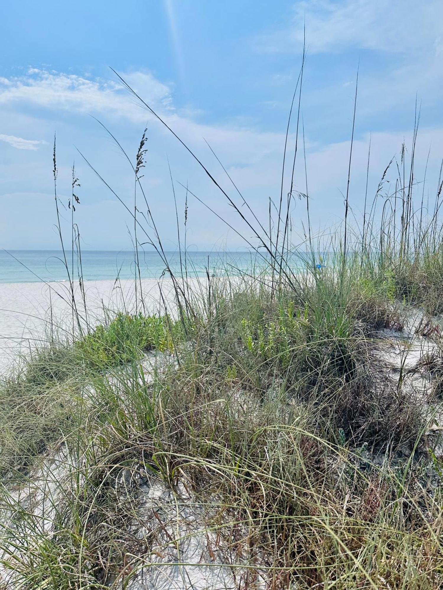 Sea Salt Vacation Home, Private Pool - Walk To Panama City Beach